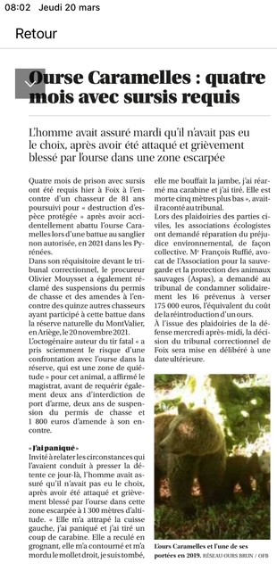 Ourse Caramelles : quatre mois avec sursis requis