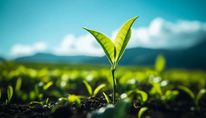 Préjudice écologique et produits phytosanitaires : compétence du juge judiciaire et point de départ de la prescription précisé